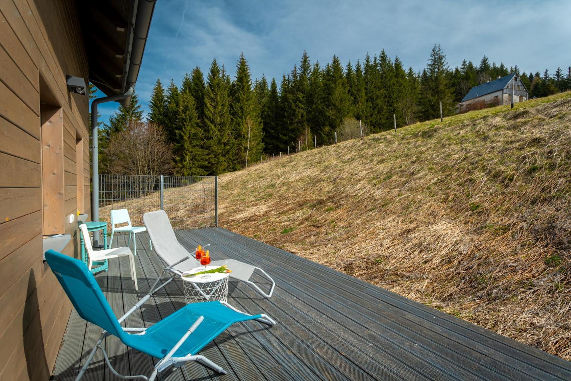 Krusnohorske Strane Apartment Loucna pod Klinovcem Luaran gambar